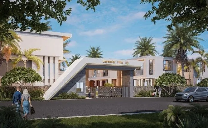 Lavender Villa