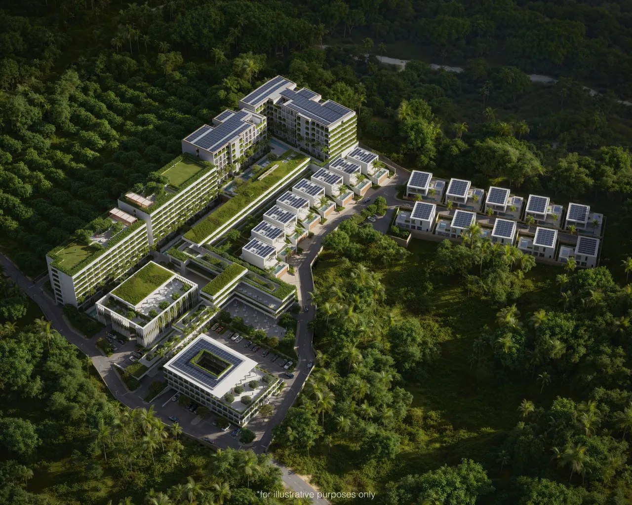 The Momentum Phuket