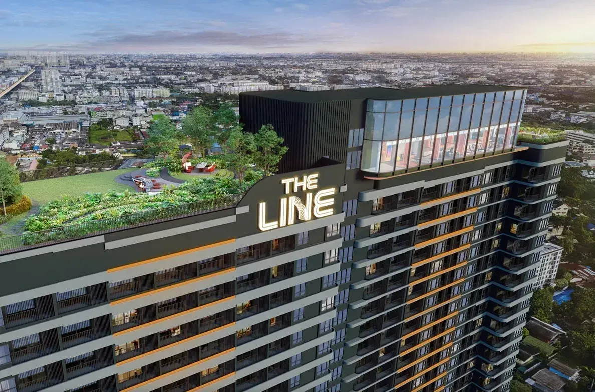 The Line Vibe