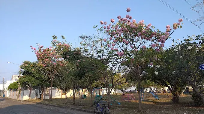 Petkasem 3 Village