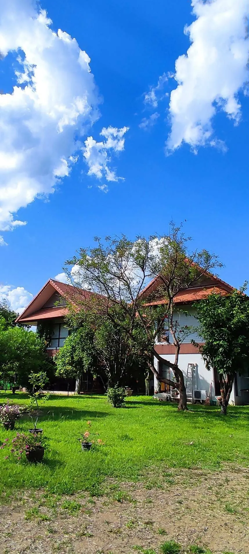 Chiangmai Lake Land