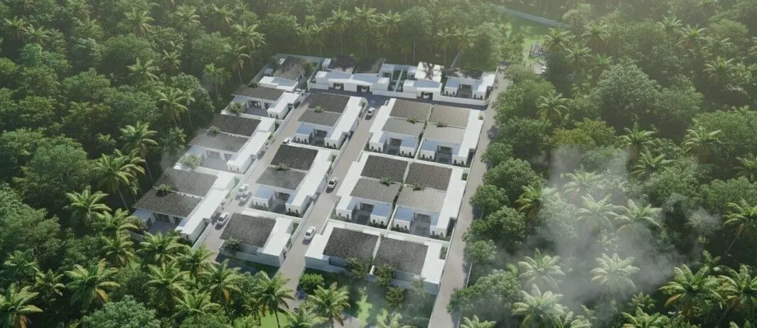 Palm Resident