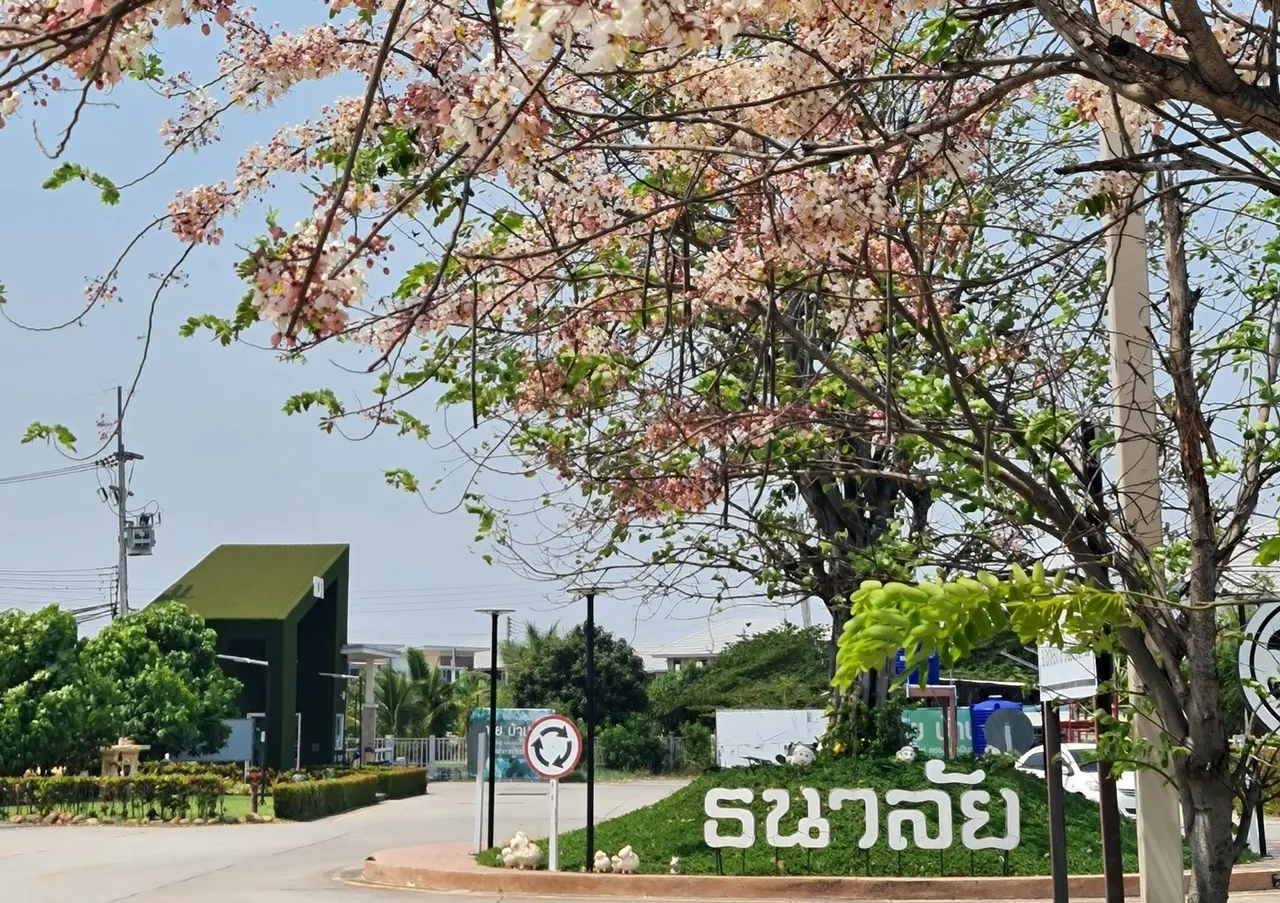 Tanalai Banbueng