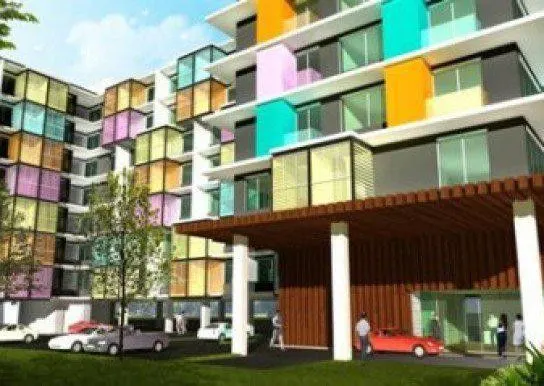 The Colory Vivid