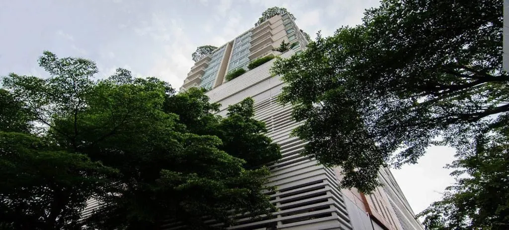 Condo · 1 ch. · 1 sdb · 55 m²